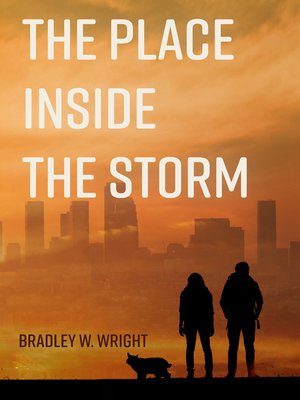 cover image of The Place Inside the Storm